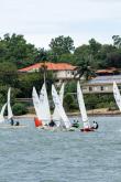 Galeria de Fotos - FOTOS - Regata da MArinha