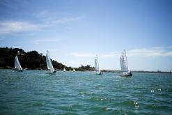 Galeria de Fotos - FOTOS - 68ª Regata Volta da Taputera - Monotipos