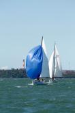 Galeria de Fotos - FOTOS - 68ª Regata Volta da Taputera - Oceano