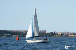 Galeria de Fotos - FOTOS - Campeonato Estadual de Vela 2023 - CLASSE OCEANO