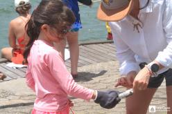 Galeria de Fotos - 