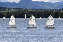 Galeria de Fotos - FOTOS - Regata Vitória do Manguezal
