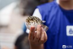 Galeria de Fotos - FOTOS - Pesca de Cais