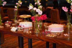 Galeria de Fotos - FOTOS - 1º Encontro Eu & Elas - Outubro Rosa