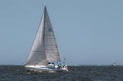 Galeria de Fotos - FOTOS - 72ª Regata Volta da Taputera - Classe OCEANO