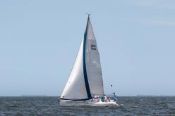 Galeria de Fotos - FOTOS - 72ª Regata Volta da Taputera - Classe OCEANO