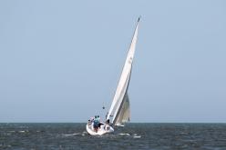 Galeria de Fotos - FOTOS - 72ª Regata Volta da Taputera - Classe OCEANO