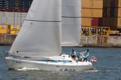 Galeria de Fotos - FOTOS - 72ª Regata Volta da Taputera - Classe OCEANO