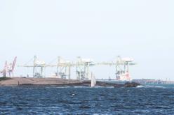 Galeria de Fotos - FOTOS - 72ª Regata Volta da Taputera - Classe OCEANO